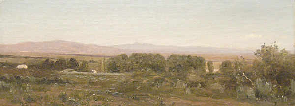 Photo of Fort Halleck site, Nevada.