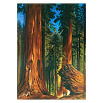 Munger Thumbnail Image