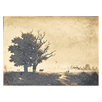Munger Thumbnail Image